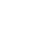 WordPress.Com Icon